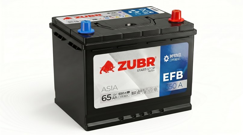 65 ASIA EFB ZUBR